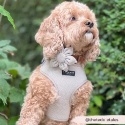 Cocopup Collar Flowers-Brown Tweed Collar Flower