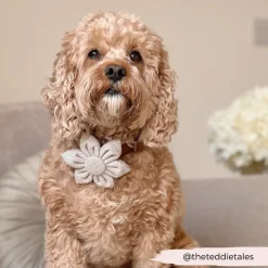 Cocopup Collar Flowers-Brown Tweed Collar Flower