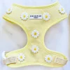 Cocopup Adjustable Neck Harnesses-Buttercup Pup Adjustable Neck HARNESS