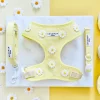 Cocopup Adjustable Harness Bundles-Buttercup Pup Adjustable Neck Harness, Lead & Collar Bundle