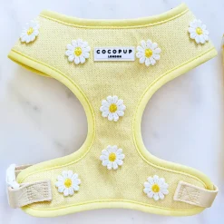Cocopup Adjustable Harness Bundles-Buttercup Pup Adjustable Neck Harness, Lead & Collar Bundle