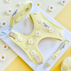 Cocopup Adjustable Harness Bundles-Buttercup Pup Adjustable Neck Harness, Lead & Collar Bundle