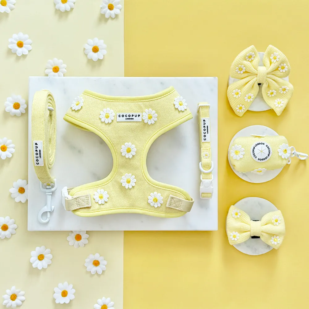 Cocopup Collars | Puppy Leads & Collars-Buttercup Pup COLLAR