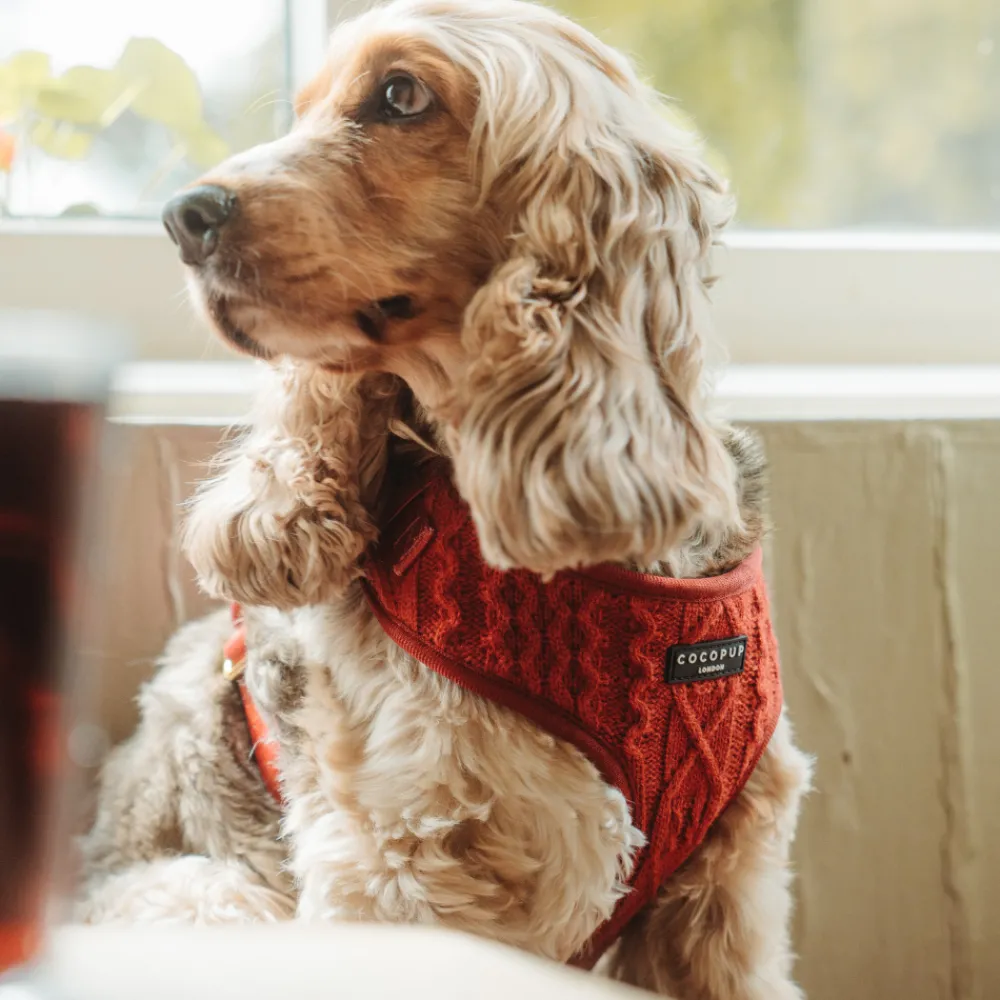 Cocopup Adjustable Neck Harnesses-Cable Knit Jumper Adjustable Neck HARNESS - Mulled Pup Wine