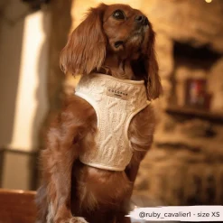 Cocopup Adjustable Neck Harnesses-Cable Knit Jumper Adjustable Neck HARNESS - Vanilla Puppucino