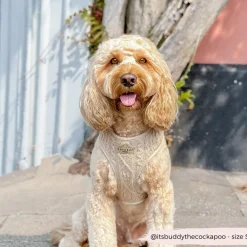 Cocopup Adjustable Neck Harnesses-Cable Knit Jumper Adjustable Neck HARNESS - Toffee Pup Latte