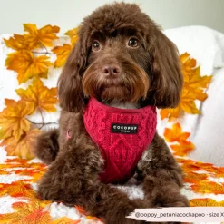 Cocopup Adjustable Neck Harnesses-Cable Knit Jumper Adjustable Neck HARNESS - Mulled Pup Wine