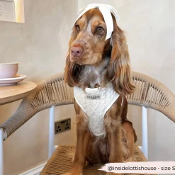 Cocopup Adjustable Neck Harnesses-Cable Knit Jumper Adjustable Neck HARNESS - Vanilla Puppucino