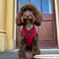 Cocopup Adjustable Neck Harnesses-Cable Knit Jumper Adjustable Neck HARNESS - Mulled Pup Wine