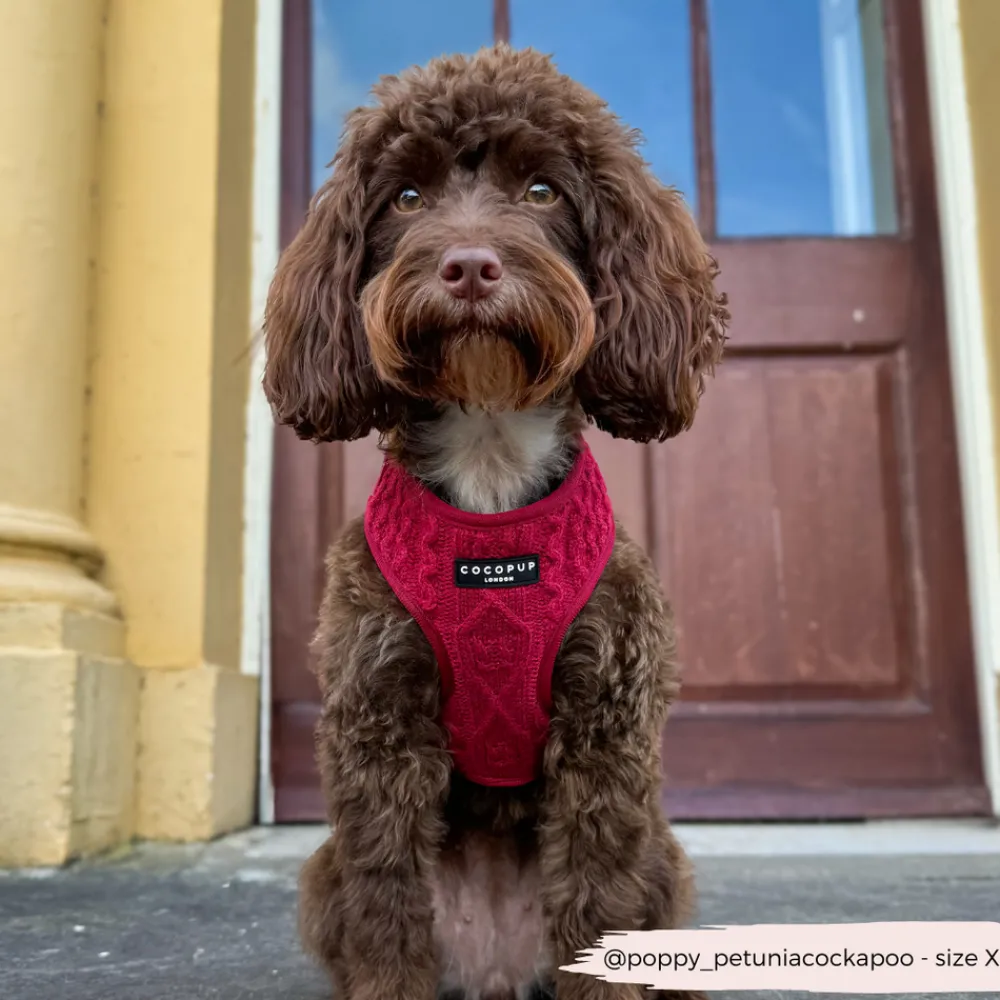 Cocopup Adjustable Neck Harnesses-Cable Knit Jumper Adjustable Neck HARNESS - Mulled Pup Wine