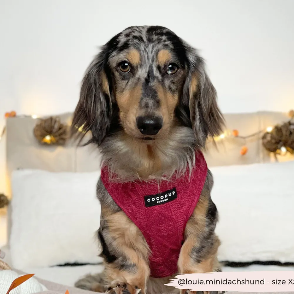 Cocopup Adjustable Neck Harnesses-Cable Knit Jumper Adjustable Neck HARNESS - Mulled Pup Wine