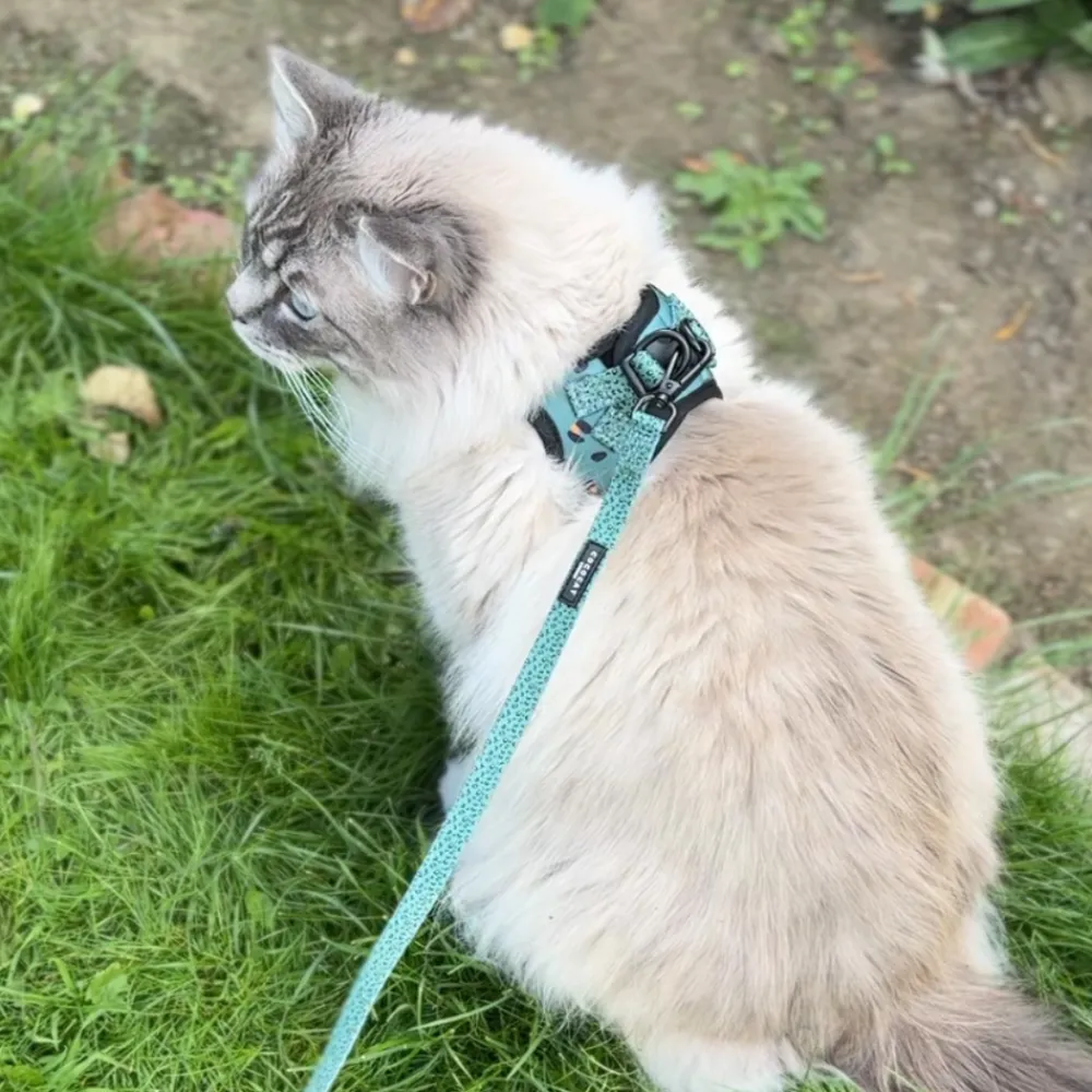 Cocopup Cat Harnesses | Cat Harnesses-Cat Harness - Khaki Leopard