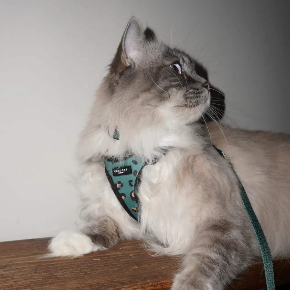 Cocopup Cat Harnesses | Cat Harnesses-Cat Harness - Khaki Leopard