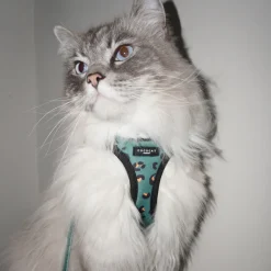 Cocopup Cat Harnesses | Cat Harnesses-Cat Harness - Khaki Leopard