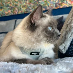 Cocopup Cat Harnesses | Cat Harnesses-Cat Harness - Sage Tweed