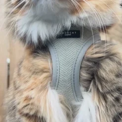 Cocopup Cat Harnesses | Cat Harnesses-Cat Harness - Sage Tweed