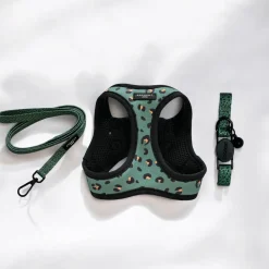 Cocopup Cat Bundles | Cat Harness Bundles-Cat Harness, Lead and Collar Bundle - Khaki Leopard