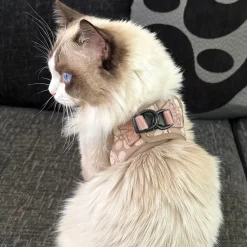 Cocopup Cat Bundles | Cat Harness Bundles-Cat Harness, Lead and Collar Bundle - Mocha Flower