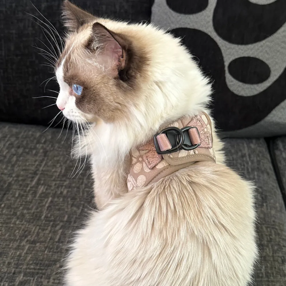 Cocopup Cat Bundles | Cat Harness Bundles-Cat Harness, Lead and Collar Bundle - Mocha Flower