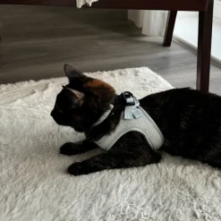 Cocopup Cat Bundles | Cat Harness Bundles-Cat Harness, Lead and Collar Bundle - Sage Tweed