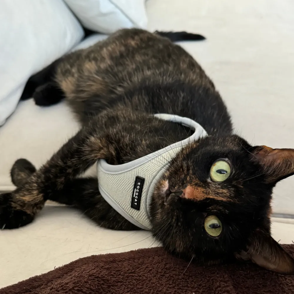Cocopup Cat Bundles | Cat Harness Bundles-Cat Harness, Lead and Collar Bundle - Sage Tweed