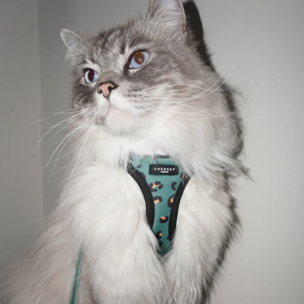 Cocopup Cat Bundles | Cat Harness Bundles-Cat Harness, Lead and Collar Bundle - Khaki Leopard
