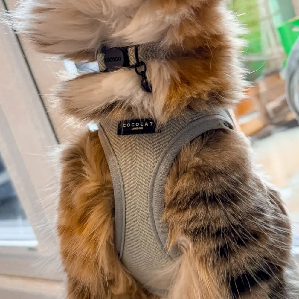 Cocopup Cat Bundles | Cat Harness Bundles-Cat Harness, Lead and Collar Bundle - Sage Tweed
