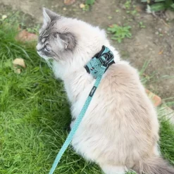 Cocopup Cat Leads | Cat Leads-Cat Lead - Khaki Leopard