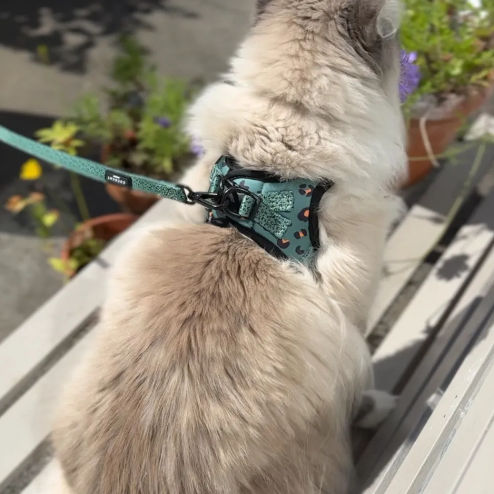 Cocopup Cat Leads | Cat Leads-Cat Lead - Khaki Leopard