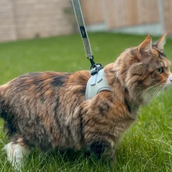 Cocopup Cat Leads | Cat Leads-Cat Lead - Sage Tweed