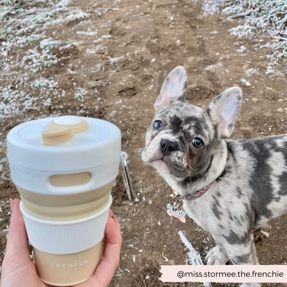 Cocopup Collapsible Water Bottles & Cups | Rucksack Accessories-Collapsible Coffee Cup - Nude
