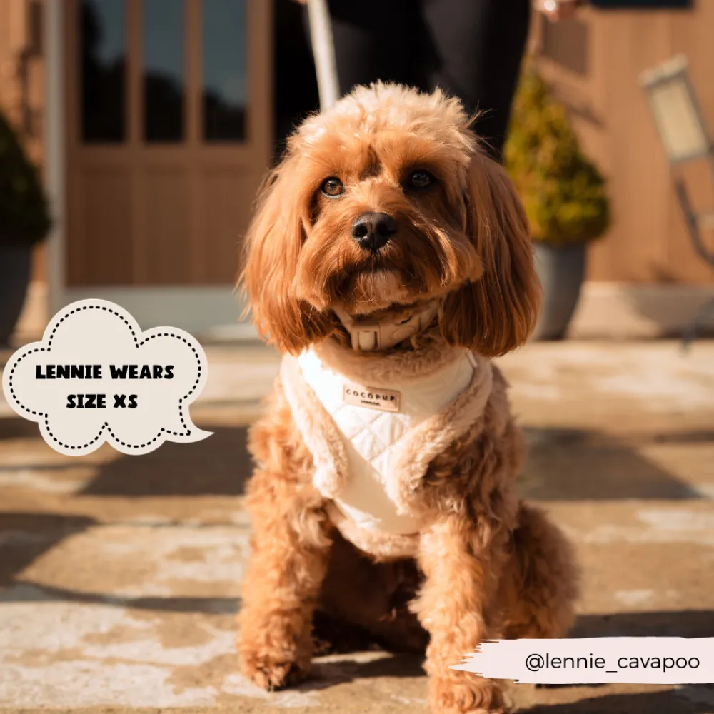 Cocopup Adjustable Harness Bundles-Cream Quilted Adjustable Neck Harness, Lead & Collar Bundle
