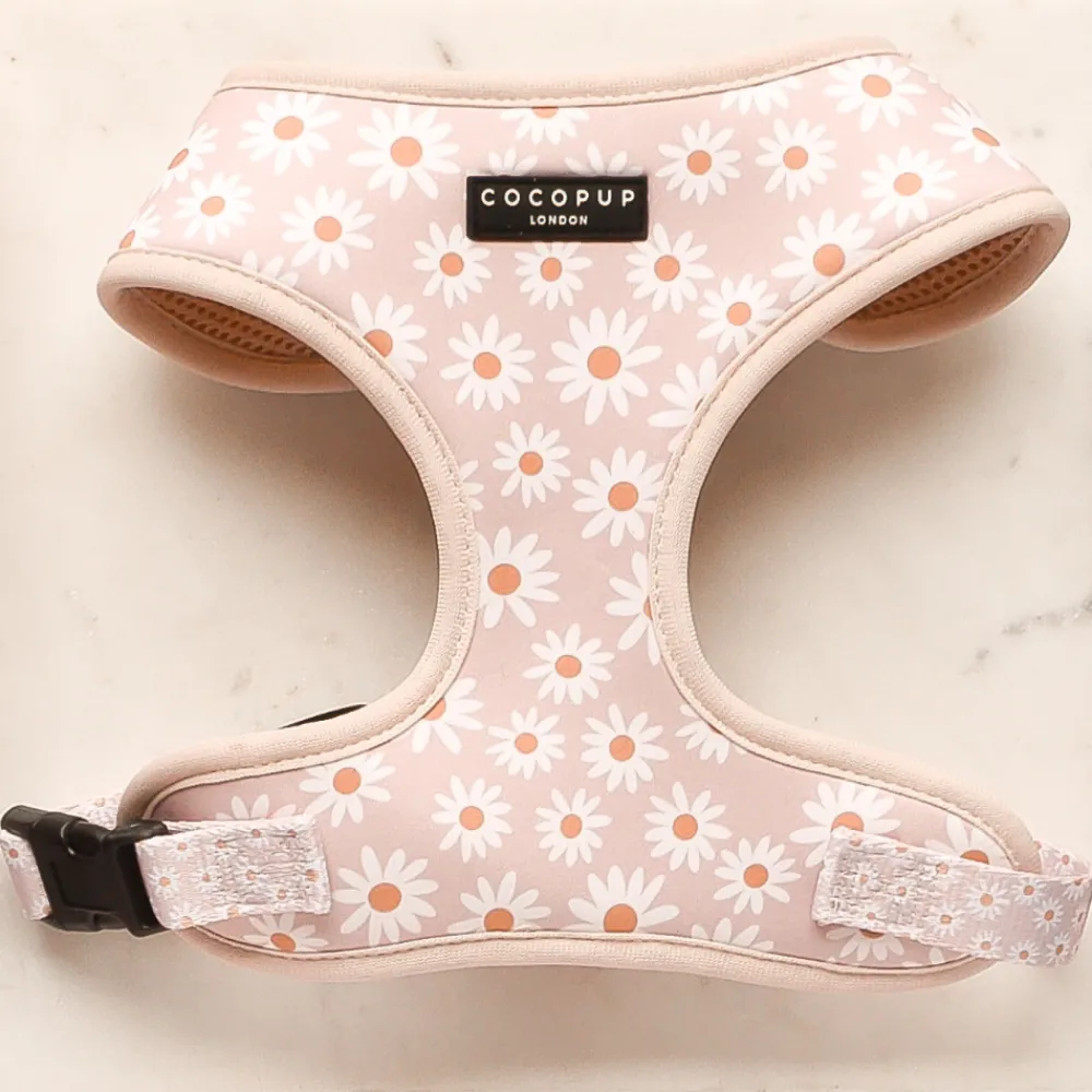 Cocopup Adjustable Neck Harnesses-Daisy Chain Adjustable Neck HARNESS