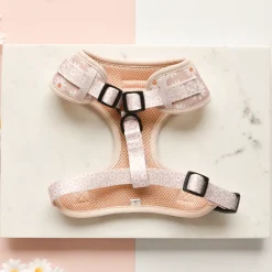 Cocopup Adjustable Neck Harnesses-Daisy Chain Adjustable Neck HARNESS