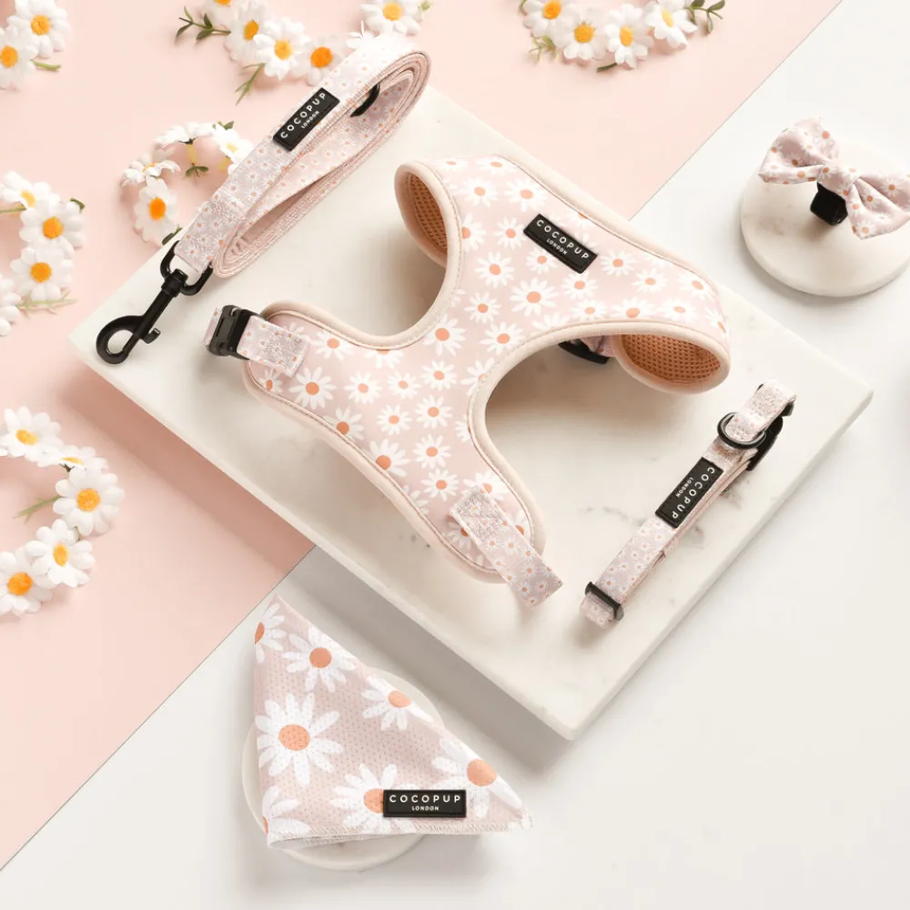 Cocopup Adjustable Harness Bundles-Daisy Chain Adjustable Neck Harness, Lead & Collar Bundle