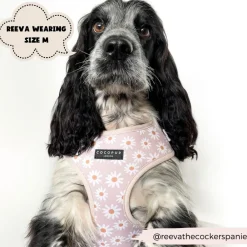 Cocopup Adjustable Neck Harnesses-Daisy Chain Adjustable Neck HARNESS