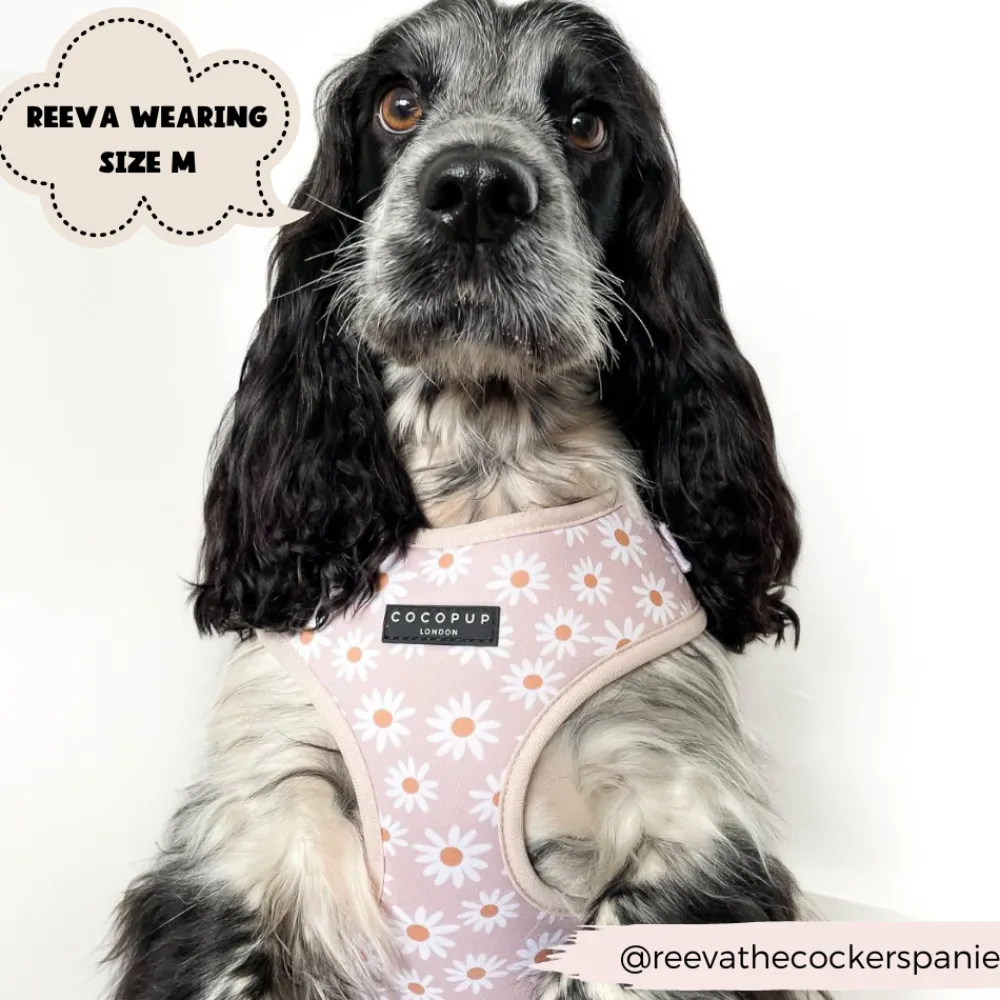 Cocopup Adjustable Neck Harnesses-Daisy Chain Adjustable Neck HARNESS
