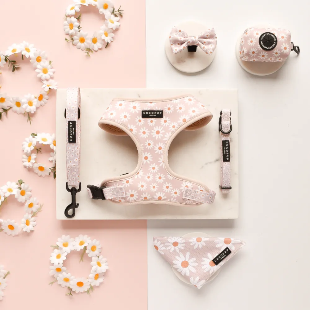 Cocopup Bandanas-Daisy Chain Bandana