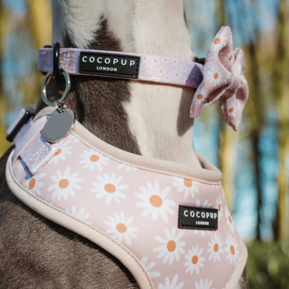 Cocopup Bow Ties-Daisy Chain Bow Tie