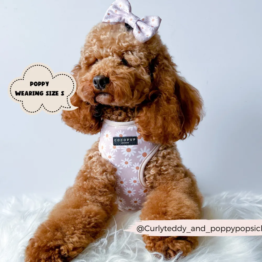 Cocopup Bow Ties-Daisy Chain Bow Tie
