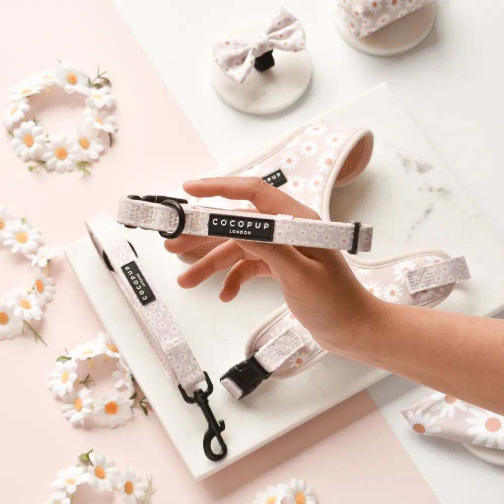 Cocopup Collars | Puppy Leads & Collars-Daisy Chain Collar