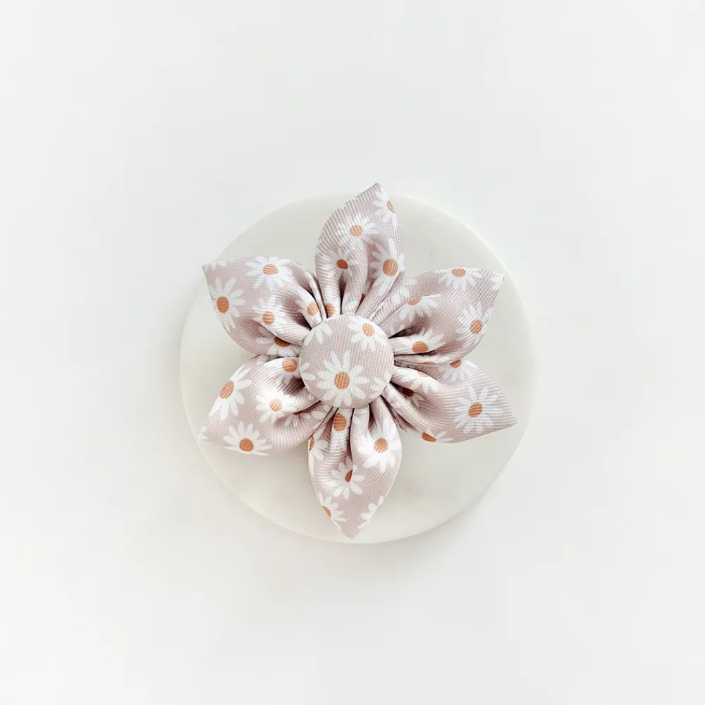 Cocopup Collar Flowers-Daisy Chain Collar Flower