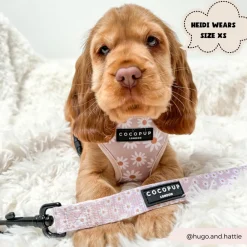 Cocopup Leads-Daisy Chain Lead