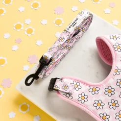 Cocopup Leads-Daisy Gingham Rave Lead