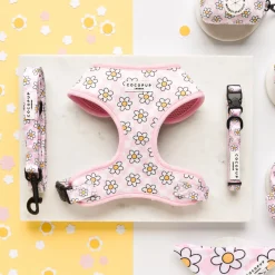 Cocopup Leads-Daisy Gingham Rave Lead