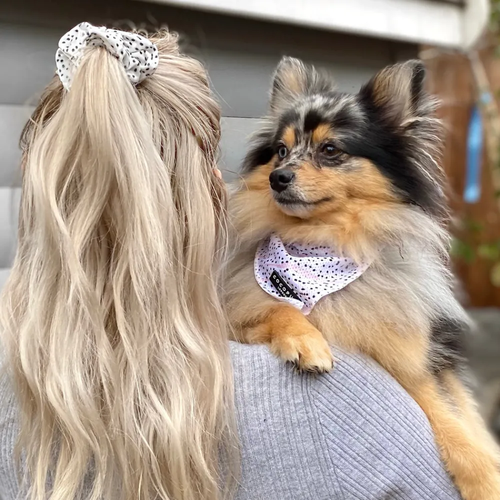 Cocopup Scrunchies-Dalmatian Scrunchie by Coconut Lane