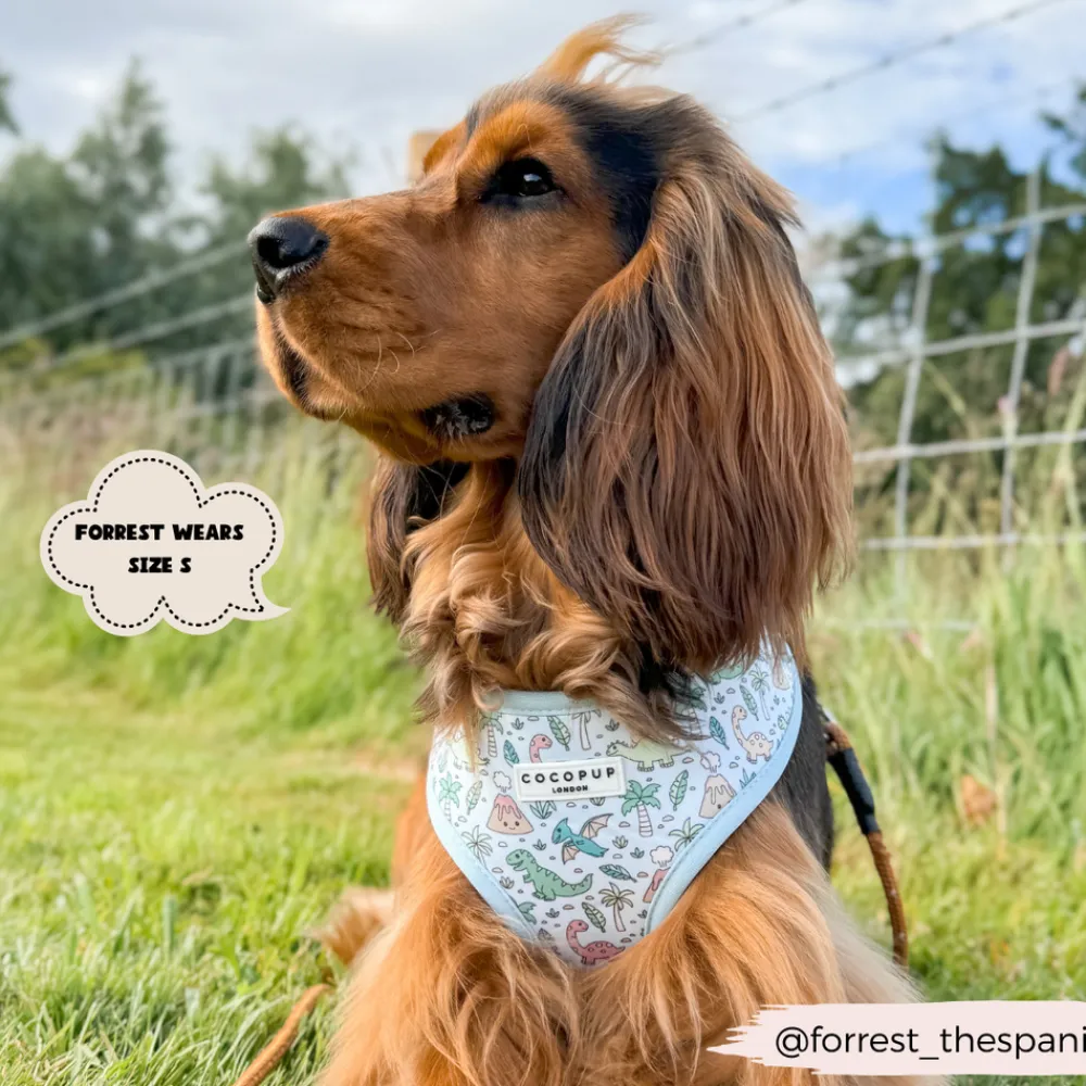 Cocopup Adjustable Harness Bundles-Dinopaws Adjustable Neck Harness, Lead & Collar Bundle