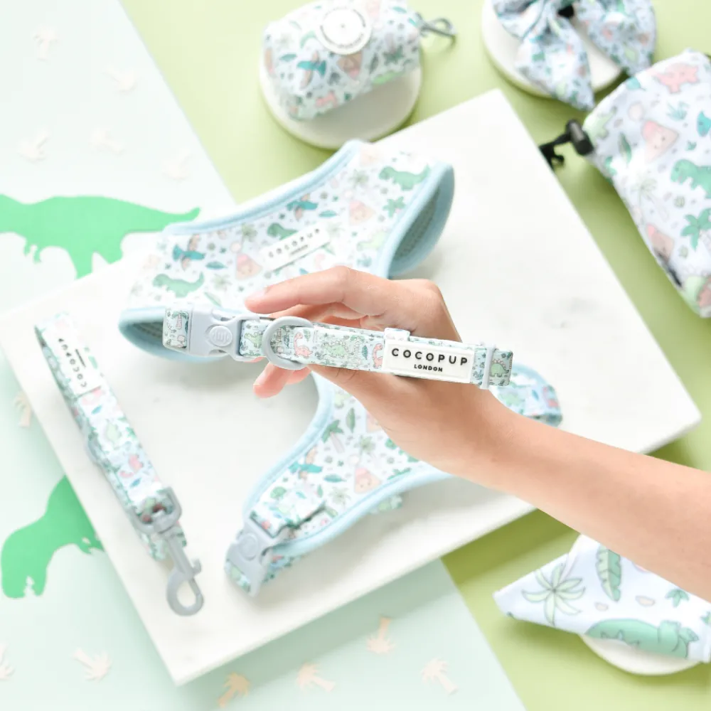 Cocopup Collars | Puppy Leads & Collars-Dinopaws COLLAR