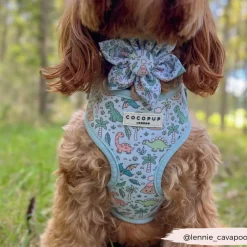 Cocopup Collar Flowers-Dinopaws Collar Flower