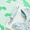 Cocopup Leads | Puppy Leads & Collars-Dinopaws Lead - Puppy